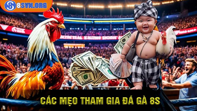 Các mẹo tham gia Đá Gà 8S