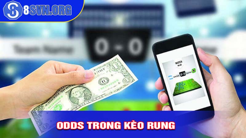 Tìm Hiểu Về Tỷ Lệ Trả Thưởng Và Odds Trong Kèo Rung